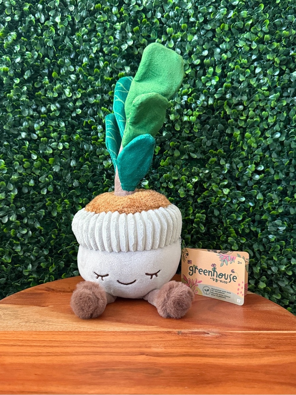 Greenhouse by Russ Fiddle Tree Casey 12” Plush